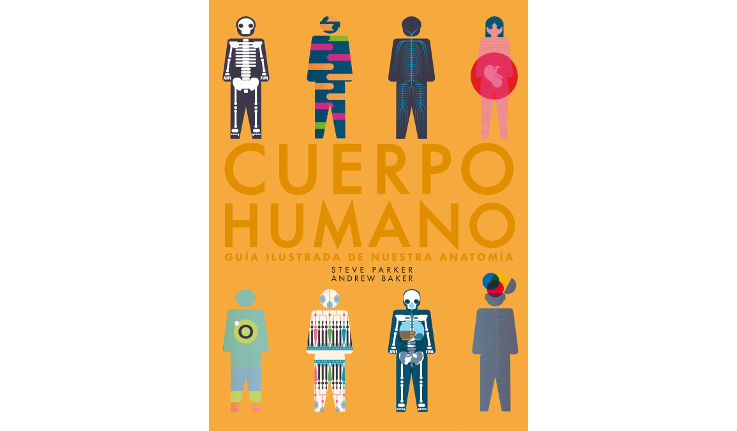 CUERPO HUMANO